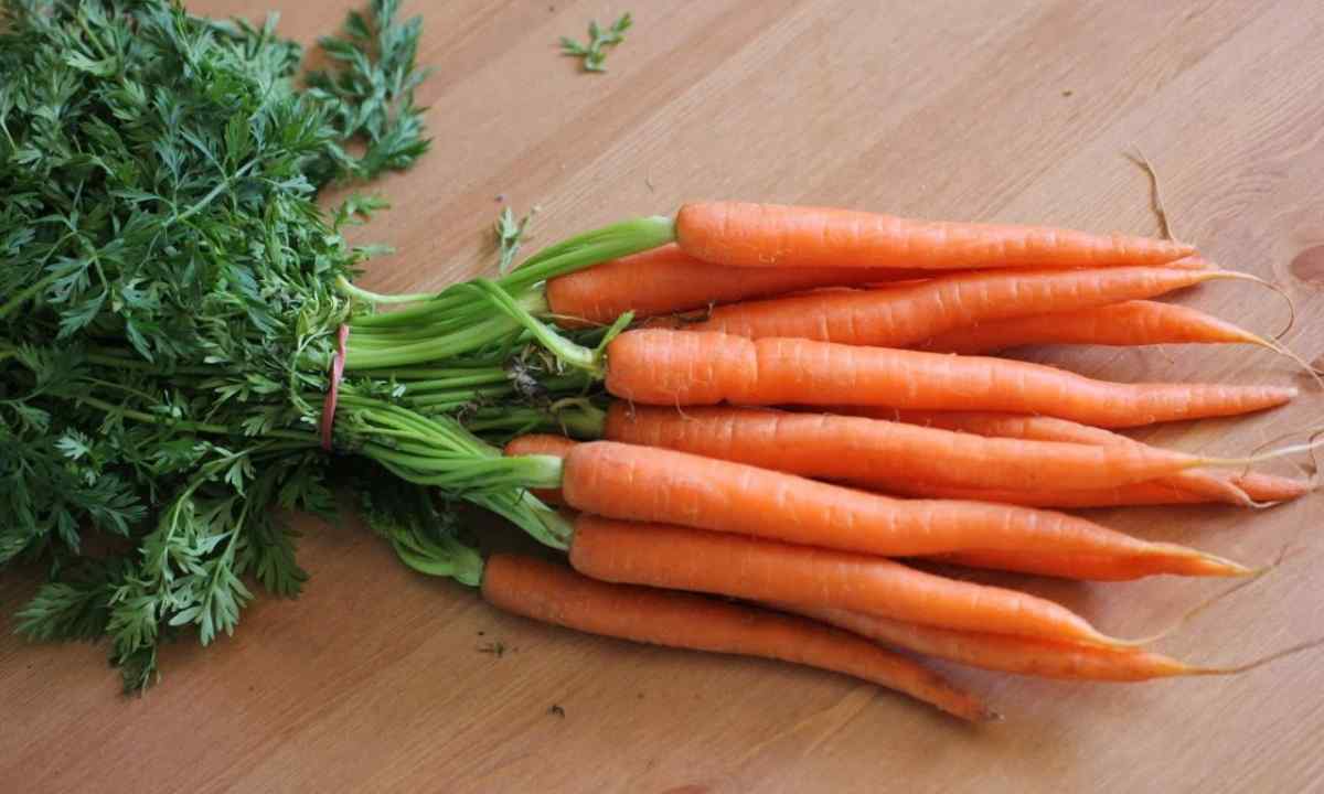 Than to feed up carrots for growth